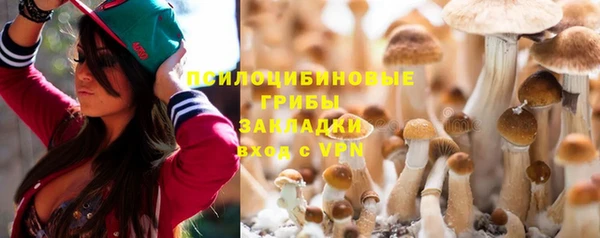 марки lsd Богданович