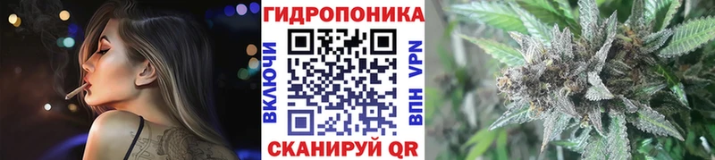 Купить закладки Мариинск Каннабис марихуана